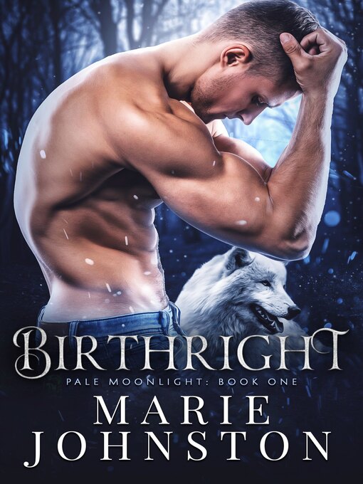 Title details for Birthright by Marie Johnston - Available